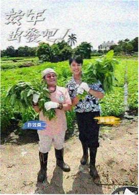 奔跑吧 免费在线观看